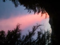 CAM01363
